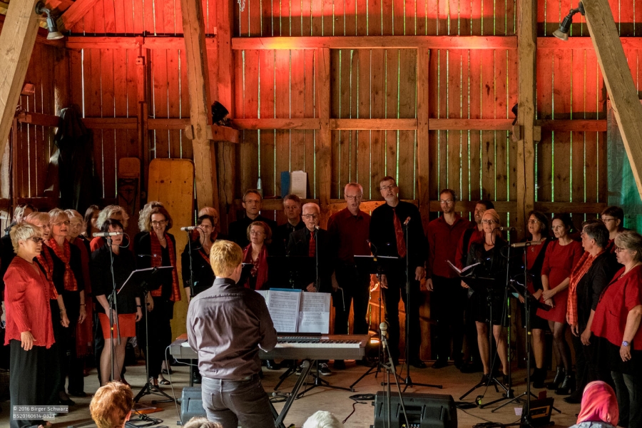 Meinerdingen 14.06.2016, Die St.-Georg-Singers haben heute ein Konzert unter der Leitung von Henning Hebenbrock in der Kirch-Scheune der Kirchengemeinde Meinerdingen gegeben.