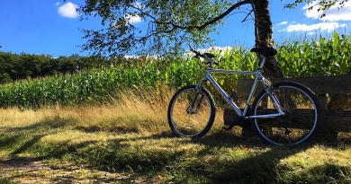 Ein Fahrrad vor einem Meissfeld