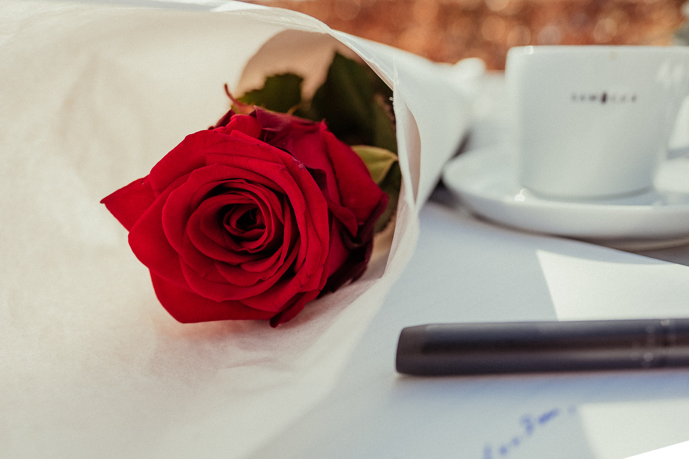 Gedanken zu Papier – 52 Rosen, Rose