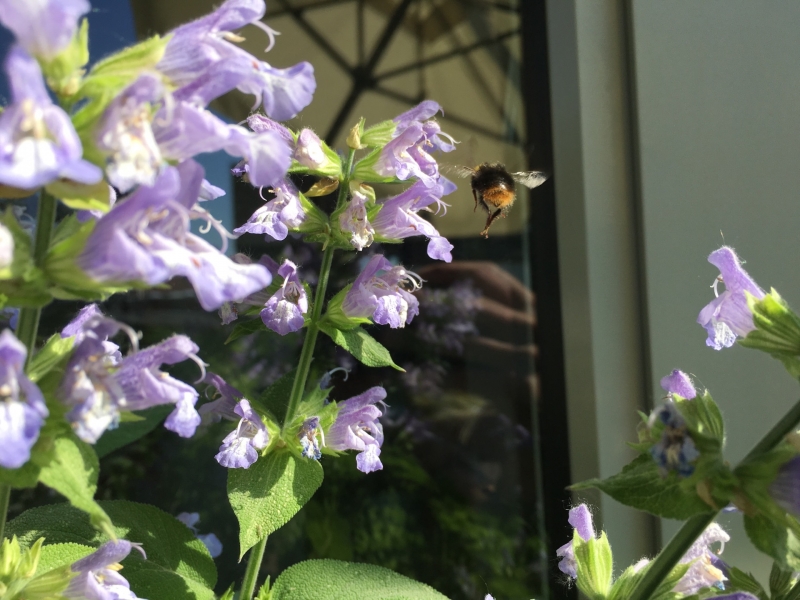 Augenblick - ShutterSnitch