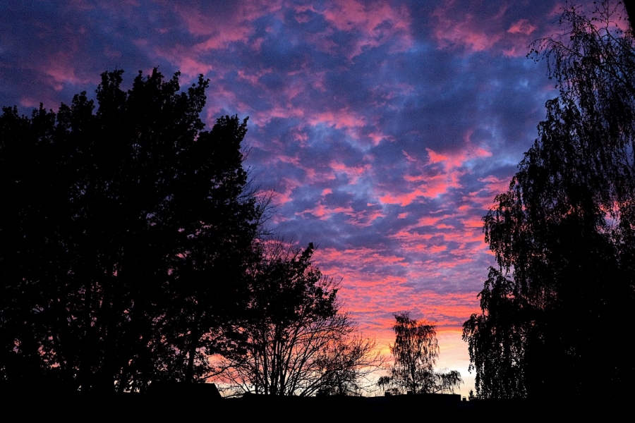 Augenblick - Walsrode