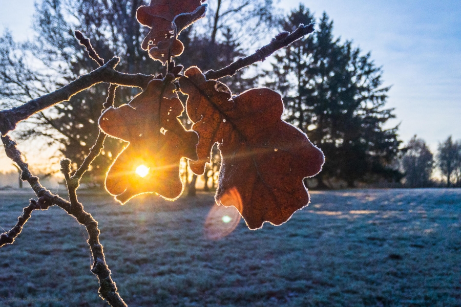 Ein sonniger Augenblick in eisiger Zeit - Augenblick