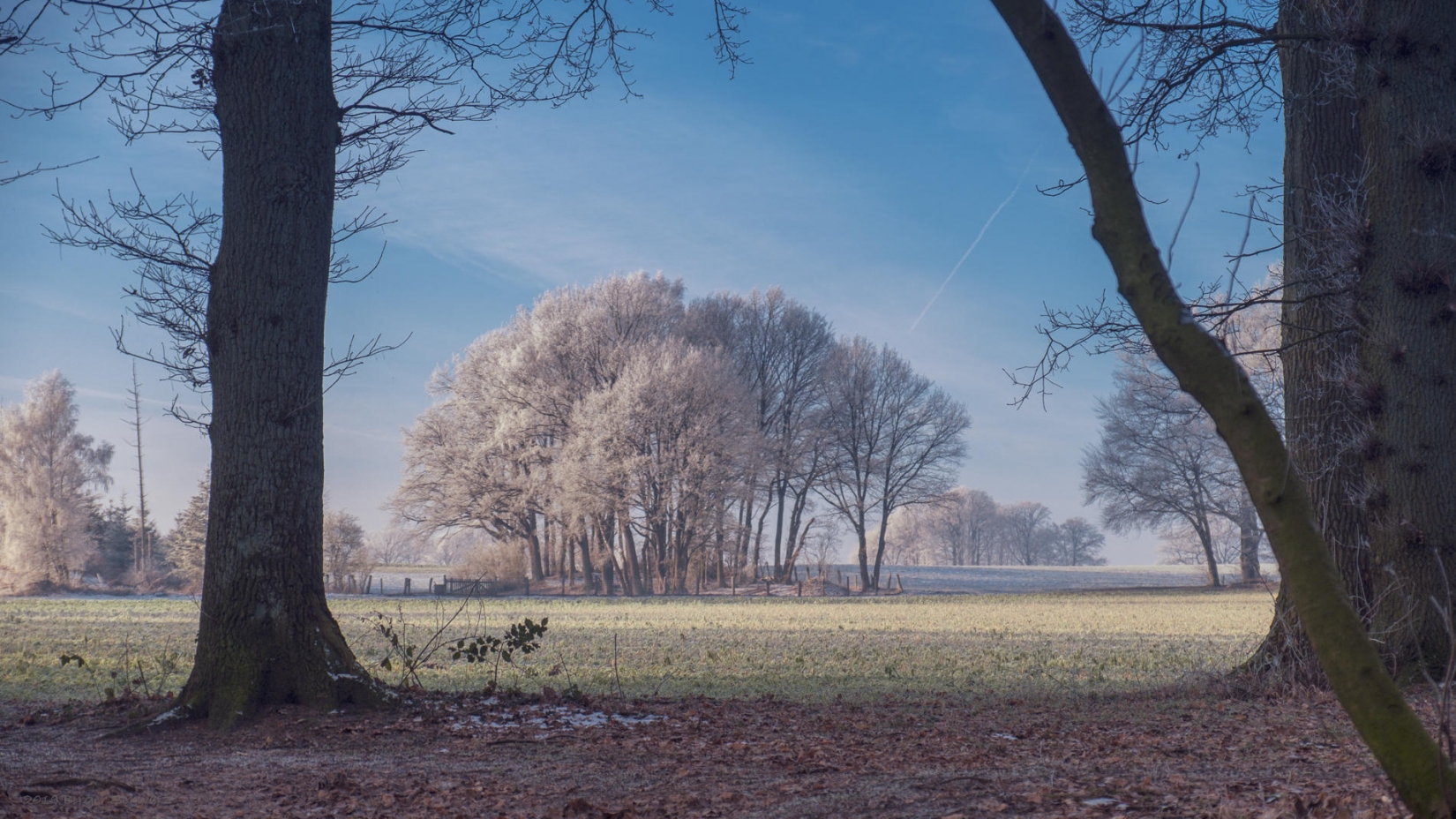 Eckernworth, Jahrezeit, Walsrode, Winter, Augenblick