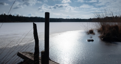 Grundloser See - Der Grundloser See bei Walsrode im Winter. - Augenblick, Grundloser See, Jahrezeit, Walsrode, Winter