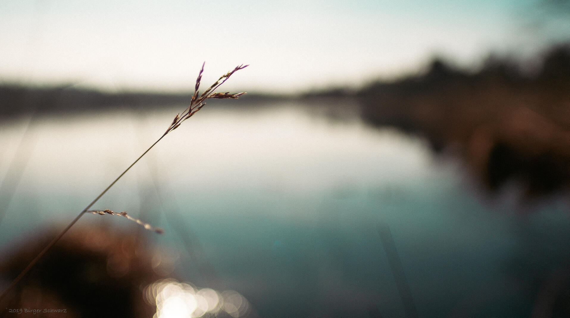 Grundloser See - Ein Frühlingsmorgen am Grundlosen See - Frühling, Grundloser See, Walsrode, Augenblick