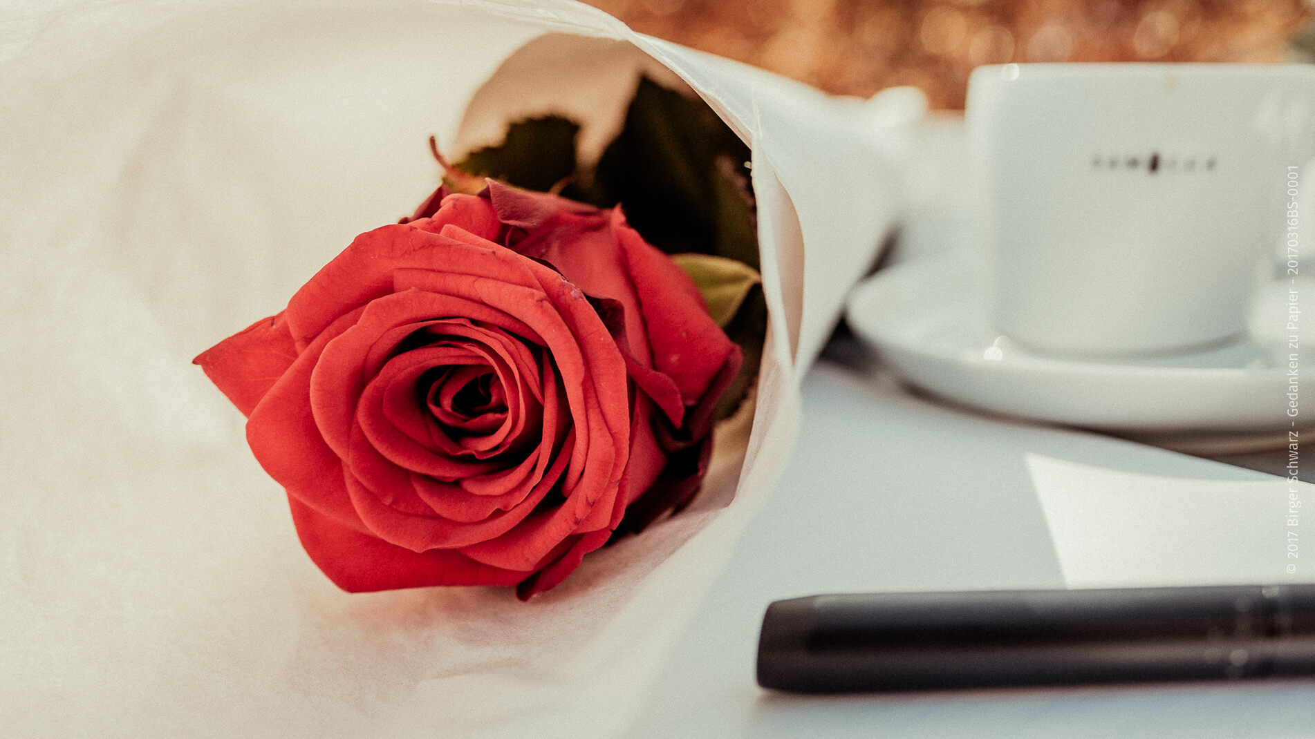 Gedanken zu Papier bringen. - Gedanken zu Papier bringen. - 52 Rosen, Rose